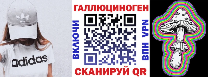 МЕГА онион Приозерск Псилоцибиновые грибы Psilocybe наркотики